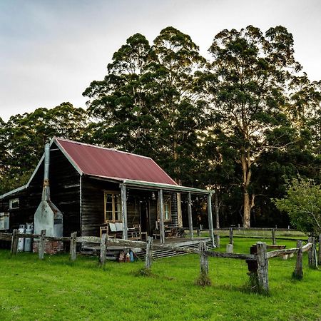 Cosy Farmstay: Green Cabin At Whispering Woods Beedelup Kültér fotó